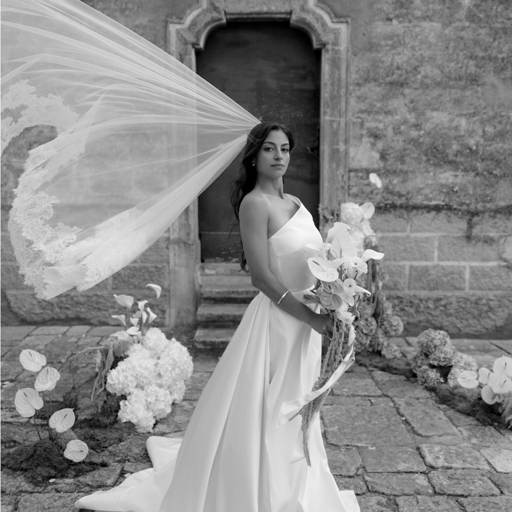 Dreamy French Chantilly Eyelash Lace Cathedral Drop Bridal Veil W/ Blusher 108"